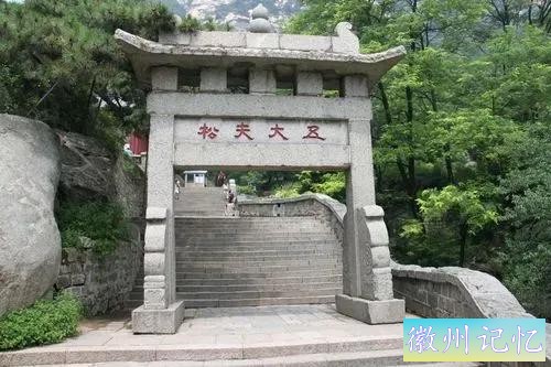 泰山五大夫松与迎客松-2.jpg