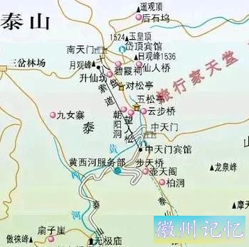 泰山五大夫松与迎客松-1.jpg