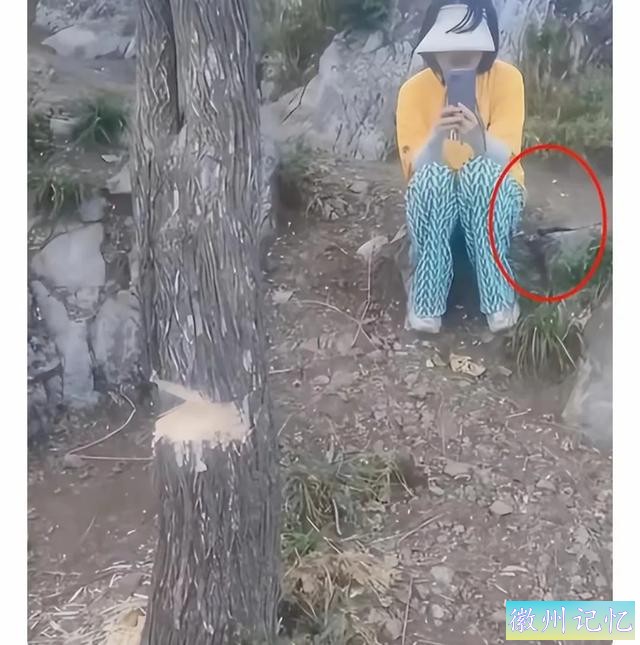60岁网红“迎客松”莫名被砍后续:砍树女子找到！网友:动机是什么-7.jpg