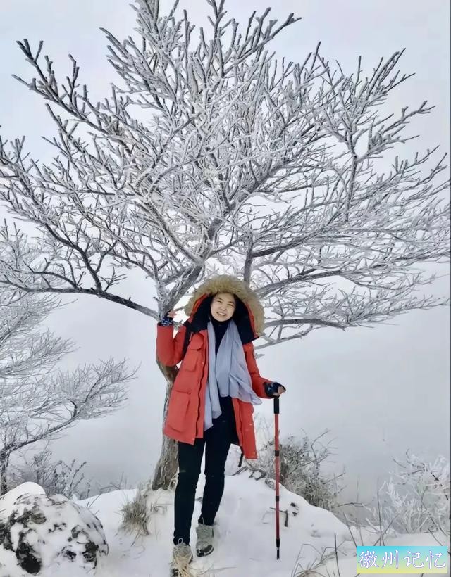 60岁网红“迎客松”莫名被砍后续:砍树女子找到！网友:动机是什么-14.jpg