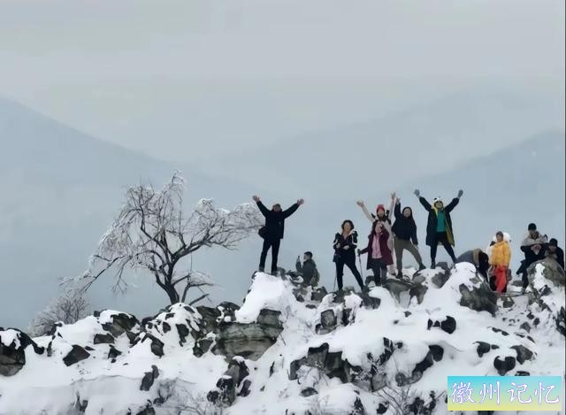 60岁网红“迎客松”莫名被砍后续:砍树女子找到！网友:动机是什么-13.jpg