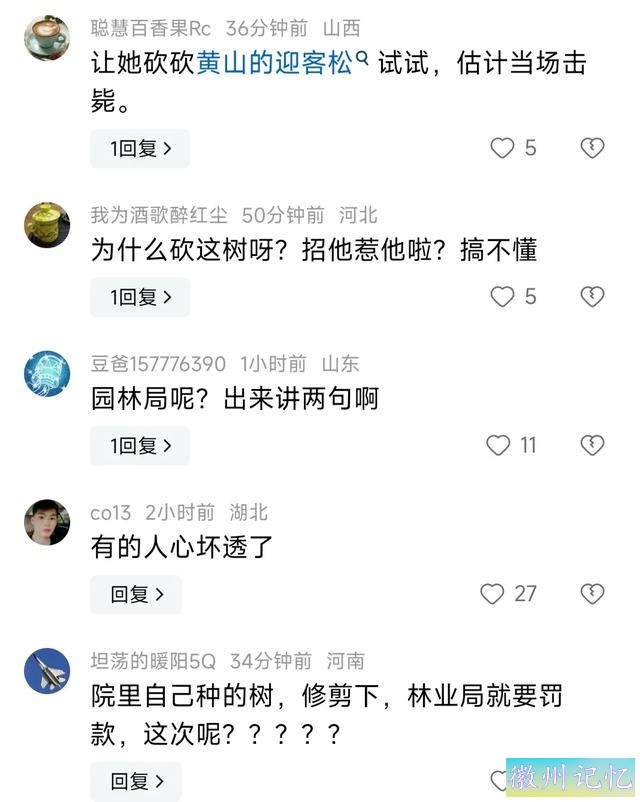 60岁网红“迎客松”莫名被砍后续:砍树女子找到！网友:动机是什么-17.jpg