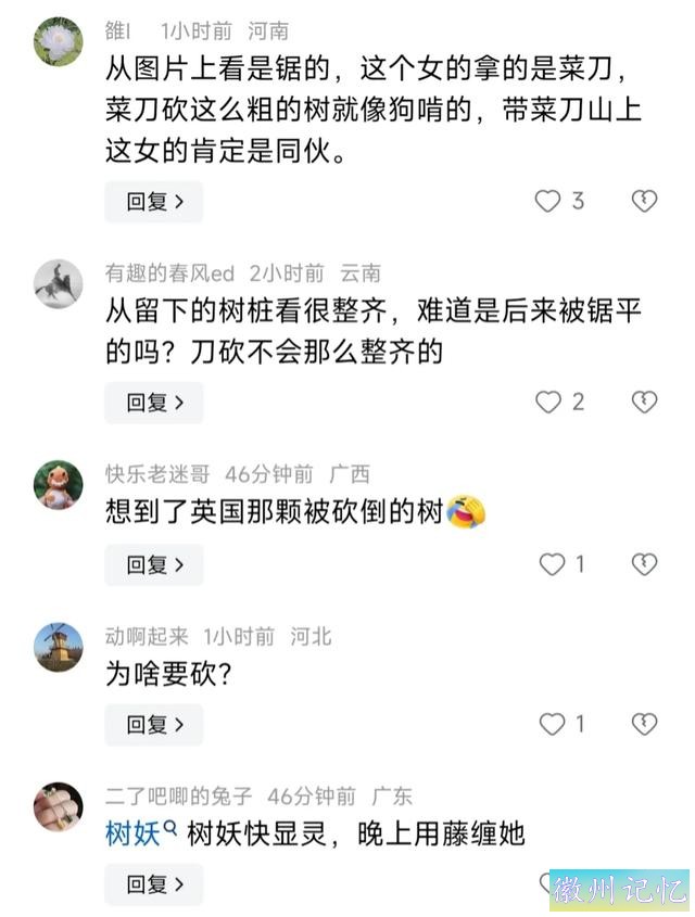 60岁网红“迎客松”莫名被砍后续:砍树女子找到！网友:动机是什么-16.jpg