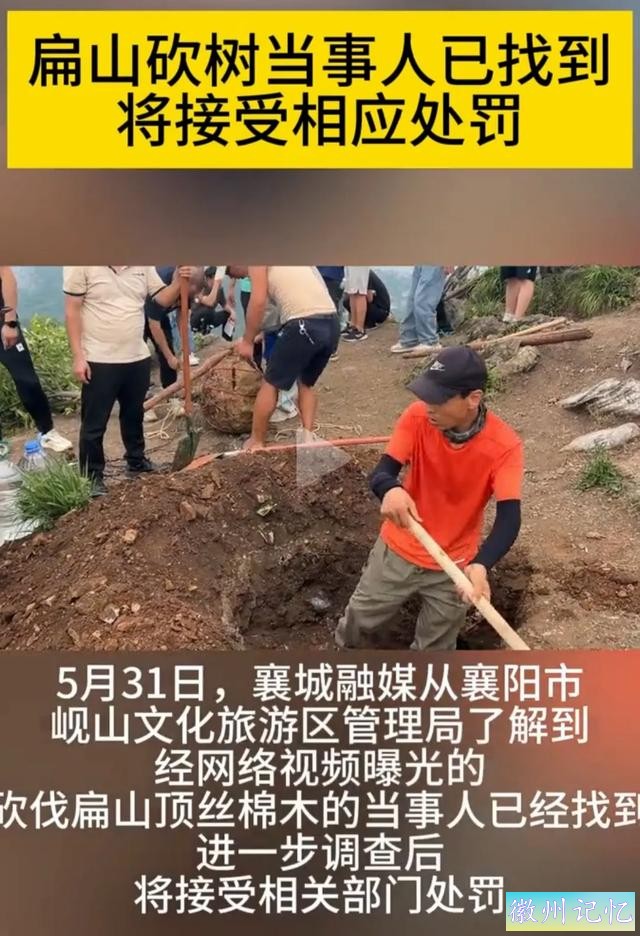 60岁网红“迎客松”莫名被砍后续:砍树女子找到！网友:动机是什么-21.jpg