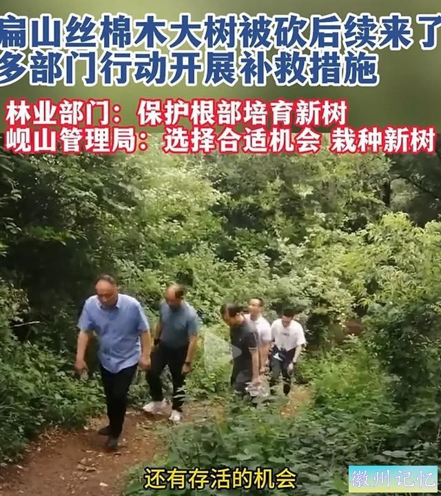 60岁网红“迎客松”莫名被砍后续:砍树女子找到！网友:动机是什么-19.jpg