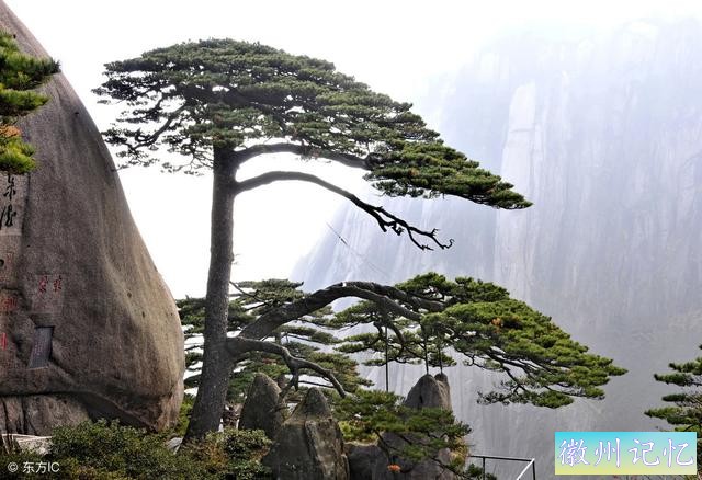 国内旅游：黄山“玉屏景区”——不成错过的美景-4.jpg