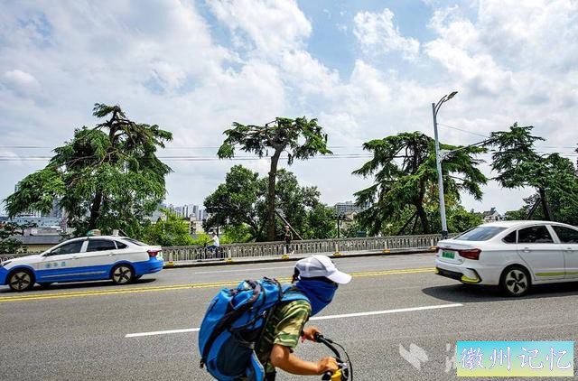 武汉长江大桥的“迎客松”换新装-2.jpg
