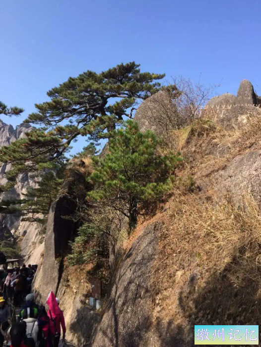 我去了黄山，没想到黄山有这么多著名景点，特别是迎客松-11.jpg