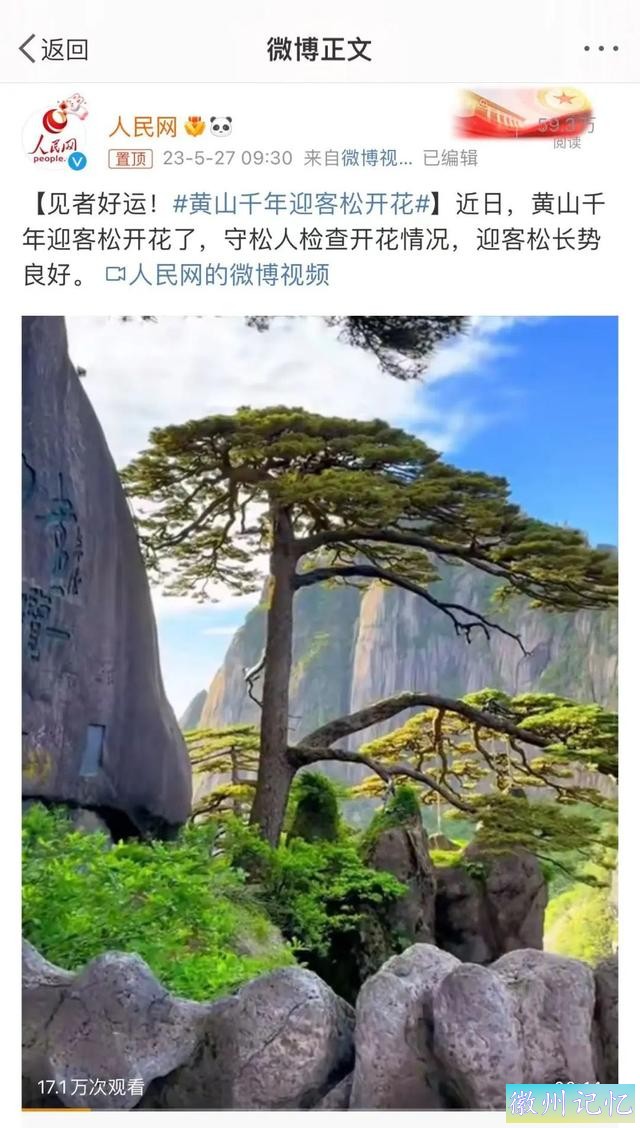 人民网直呼“见者好运”！千年迎客松再登热搜，竟然是因为......-2.jpg