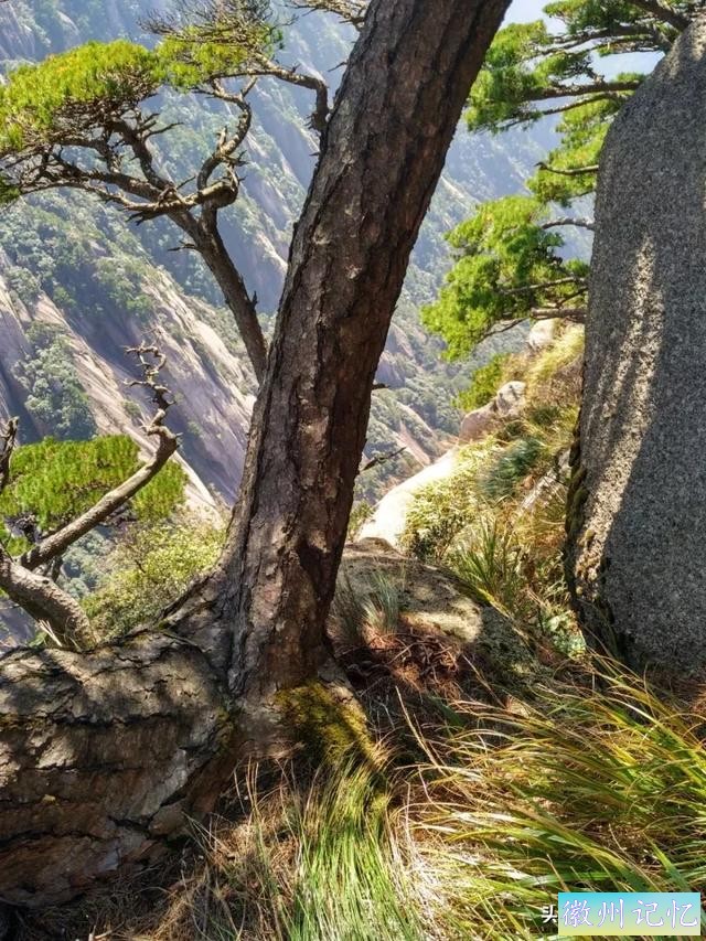独攀黄山天都峰纪实：迤逦上天都，骑鲸腾汗漫-34.jpg