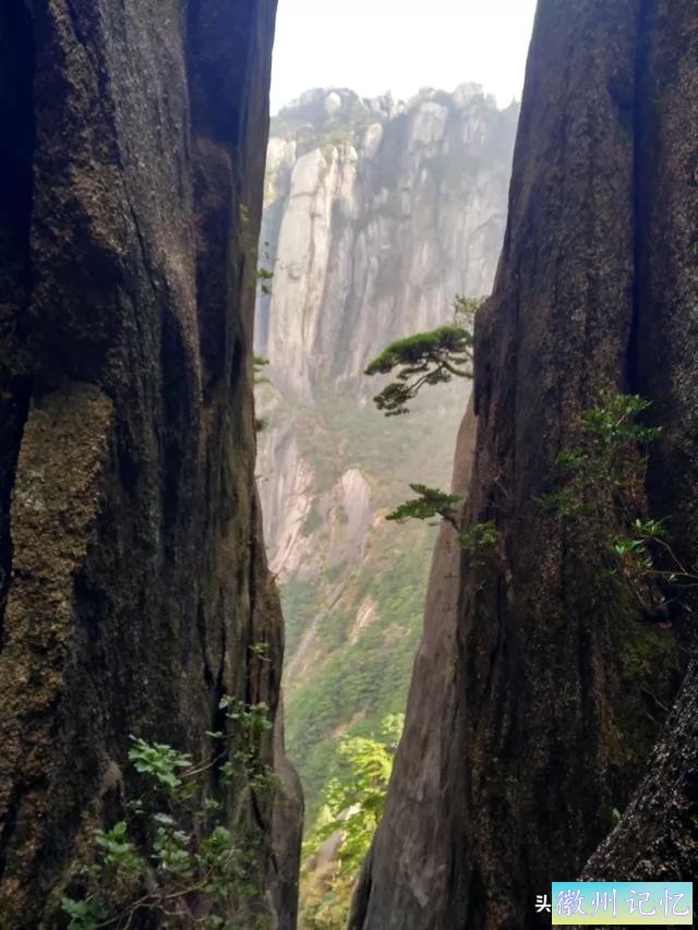 独攀黄山天都峰纪实：迤逦上天都，骑鲸腾汗漫-65.jpg