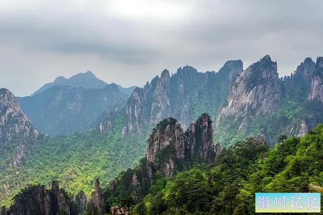 迎客松迎客了，但黄山人想的是如何“不浪费一场危机”-3.jpg