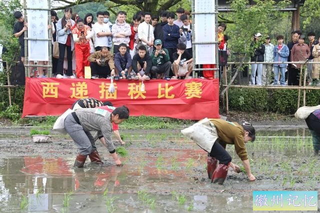 春游江淮丨春意盎然，西递村“开秧门”农耕文化节盛大开幕-2.jpg
