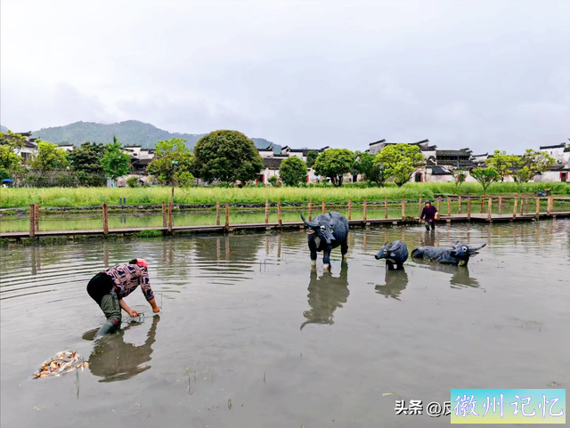 世界文化遗产西递、宏村-7.jpg