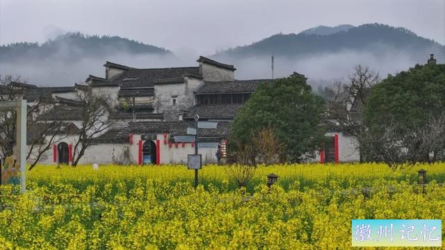 春游江淮丨烟雨徽州，领略春季里西递村的雨中风情-6.jpg