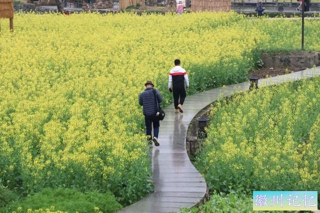 春游江淮丨烟雨徽州，领略春季里西递村的雨中风情-9.jpg