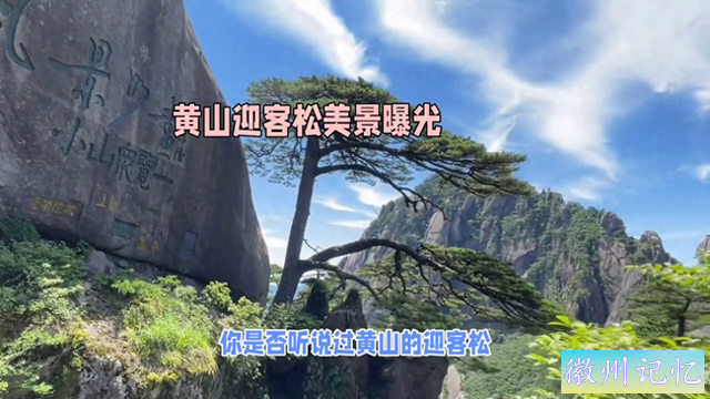 黄山迎客松曝光，不仅是一棵树，更是一个文化符号-1.jpg