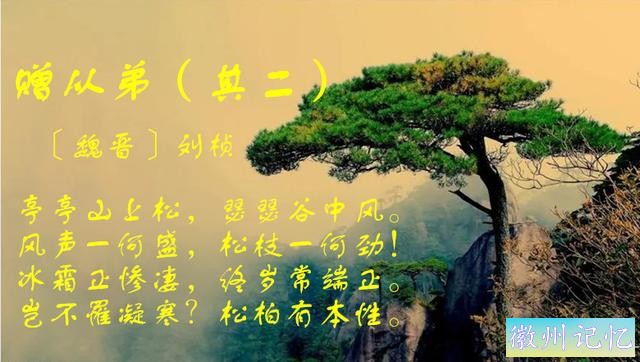 美石欣赏 · 人生雅福｜南宁市李惠赏石馆精品保藏展示：迎客松-2.jpg
