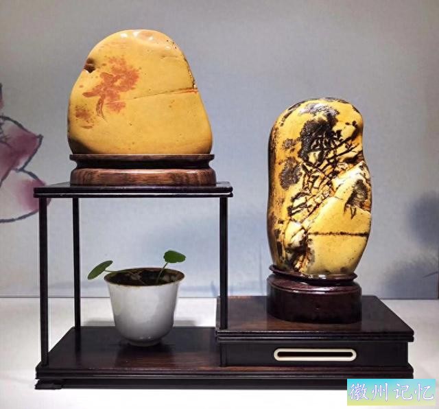 美石欣赏 · 人生雅福｜南宁市李惠赏石馆精品保藏展示：迎客松-1.jpg