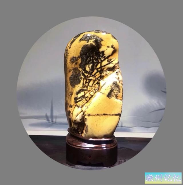 美石欣赏 · 人生雅福｜南宁市李惠赏石馆精品保藏展示：迎客松-4.jpg