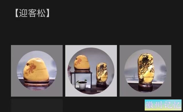 美石欣赏 · 人生雅福｜南宁市李惠赏石馆精品保藏展示：迎客松-5.jpg