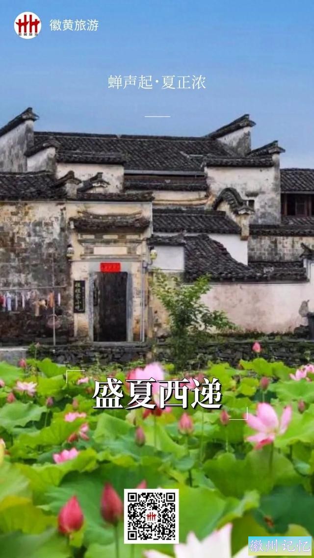 520皖美夏日丨去西递，感受绿意盎然，荷香满溢的悠闲时光-1.jpg