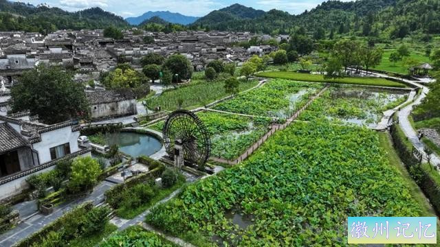 520皖美夏日丨去西递，感受绿意盎然，荷香满溢的悠闲时光-2.jpg