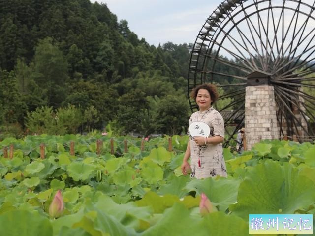 520皖美夏日丨去西递，感受绿意盎然，荷香满溢的悠闲时光-11.jpg