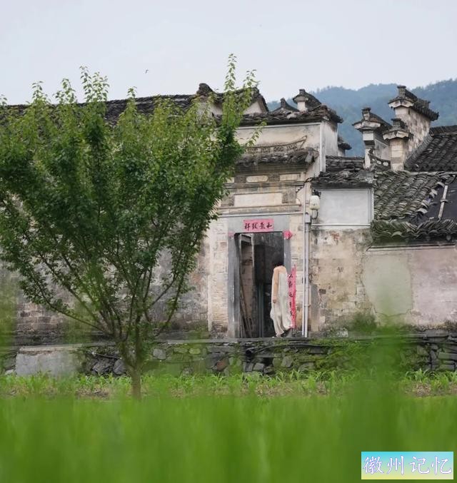520皖美夏日丨去西递，感受绿意盎然，荷香满溢的悠闲时光-14.jpg