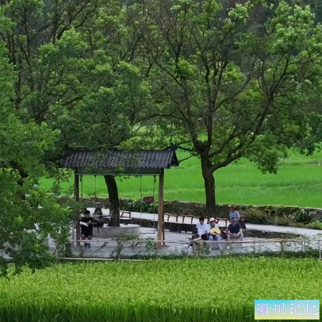 520皖美夏日丨去西递，感受绿意盎然，荷香满溢的悠闲时光-15.jpg