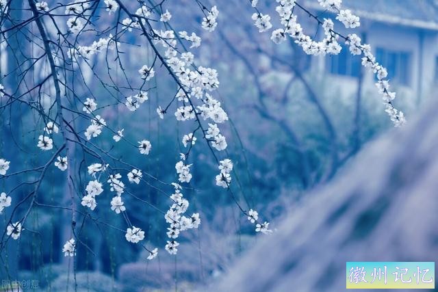 童年的冻米糖-1.jpg