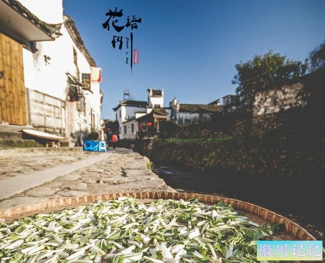 去安徽宏村旅游，月沼湖拍起来水天一色，特别静谧-3.jpg