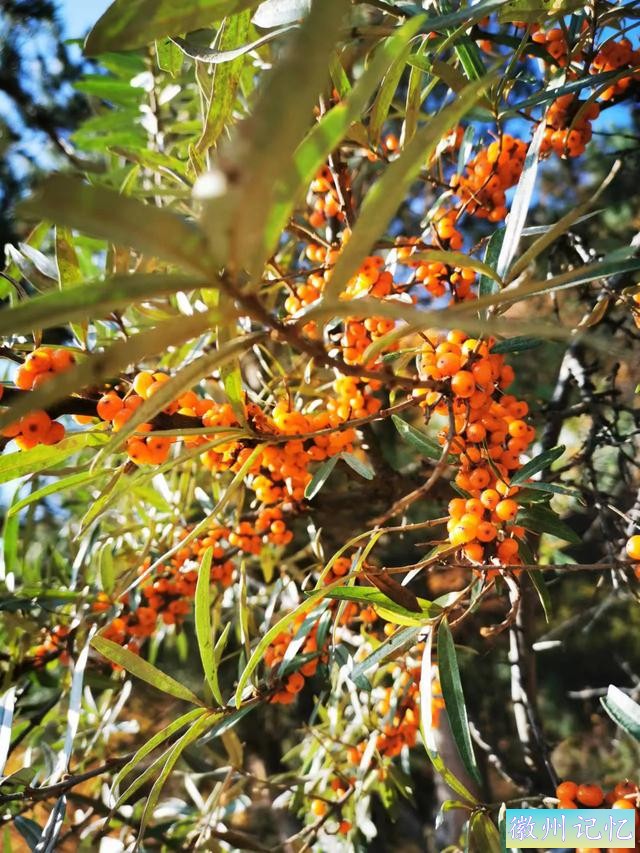 游莲花峰即情-7.jpg