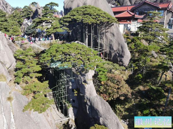安徽黄山千年迎客松迎来第五次全面“体检”-2.jpg