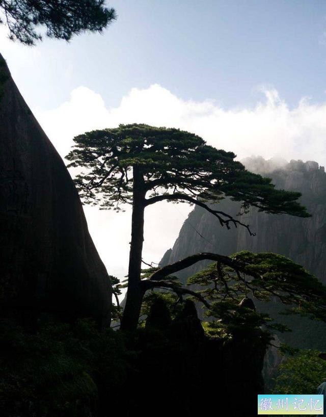 暑假下江南（1）——再登黄山最高峰—莲花峰-9.jpg