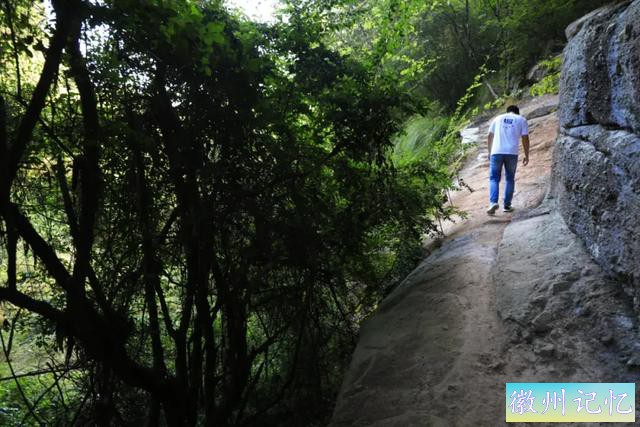 岩茶玩家陈浩：莲花峰是最被低估的正岩山场吗?-8.jpg