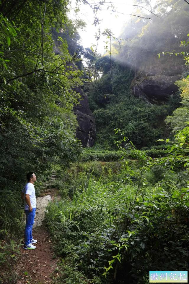 岩茶玩家陈浩：莲花峰是最被低估的正岩山场吗?-6.jpg
