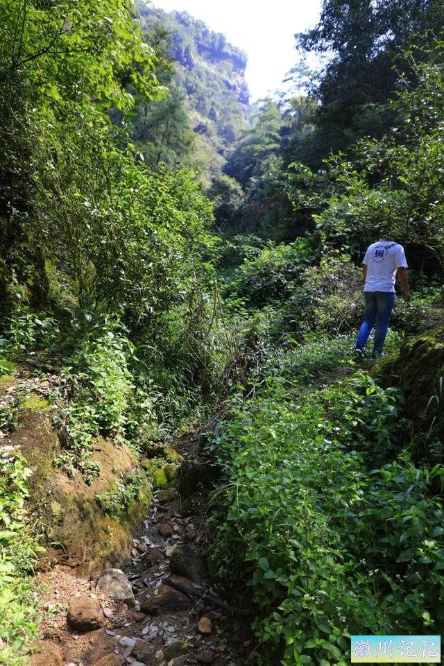 岩茶玩家陈浩：莲花峰是最被低估的正岩山场吗?-10.jpg