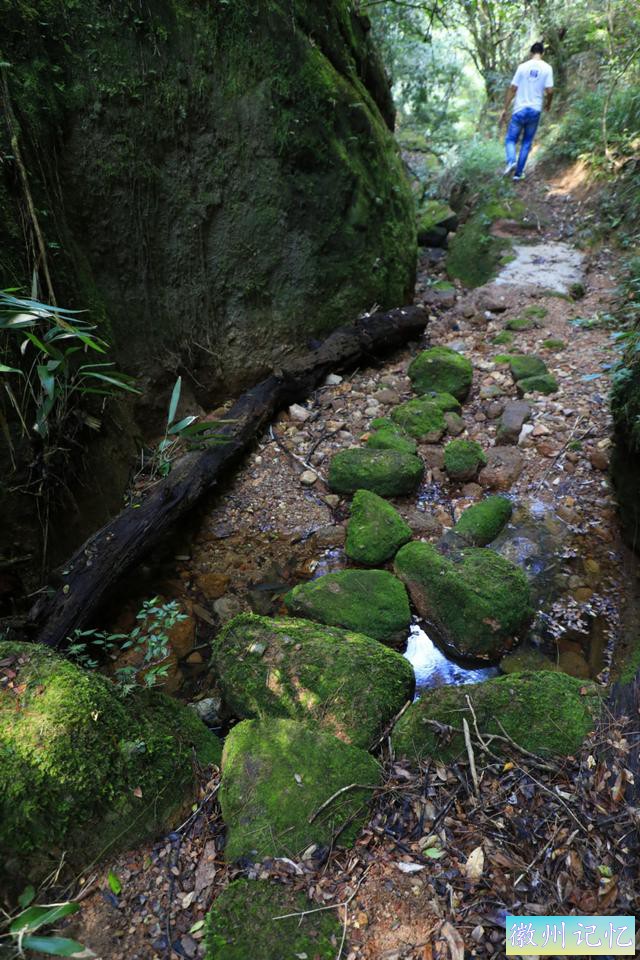 岩茶玩家陈浩：莲花峰是最被低估的正岩山场吗?-12.jpg