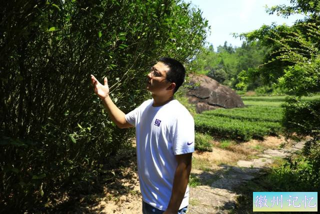 岩茶玩家陈浩：莲花峰是最被低估的正岩山场吗?-17.jpg