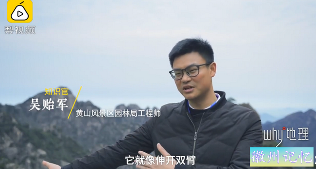 千年黄山迎客松每年都在长高，网友神回复：请分享长高秘诀-2.jpg