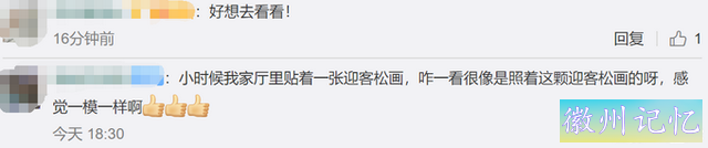 千年黄山迎客松每年都在长高，网友神回复：请分享长高秘诀-4.jpg