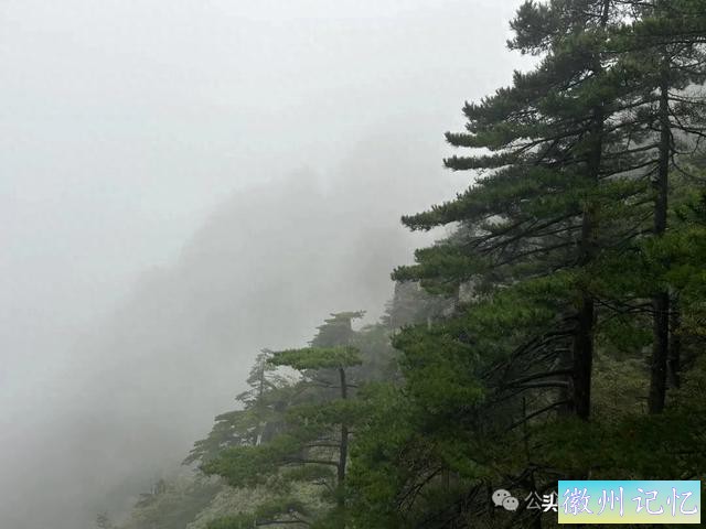 全程徒步黄山（二）：再上光明顶寻觅当年不雅观日出位置，心有余悸！-1.jpg