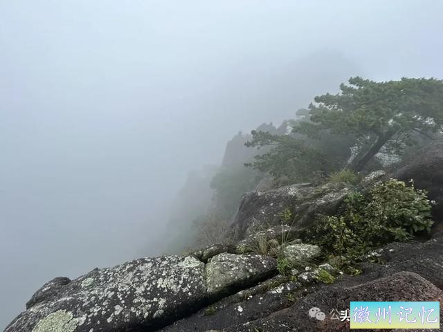 全程徒步黄山（二）：再上光明顶寻觅当年不雅观日出位置，心有余悸！-5.jpg