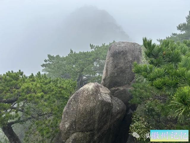 全程徒步黄山（二）：再上光明顶寻觅当年不雅观日出位置，心有余悸！-6.jpg