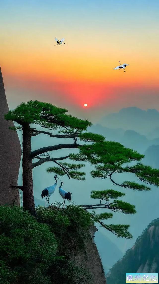 醉美意境，迎客松-8.jpg