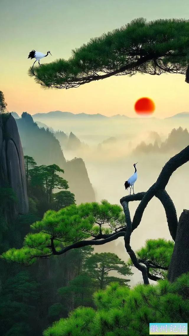 醉美意境，迎客松-10.jpg