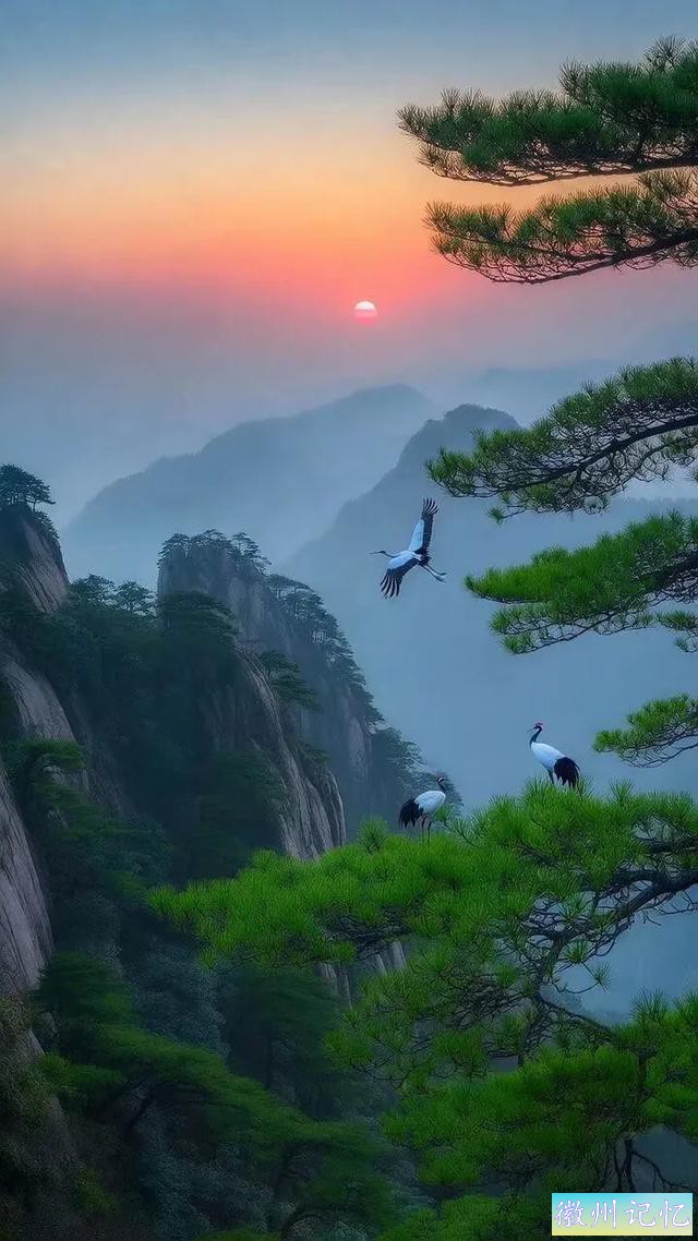 醉美意境，迎客松-15.jpg