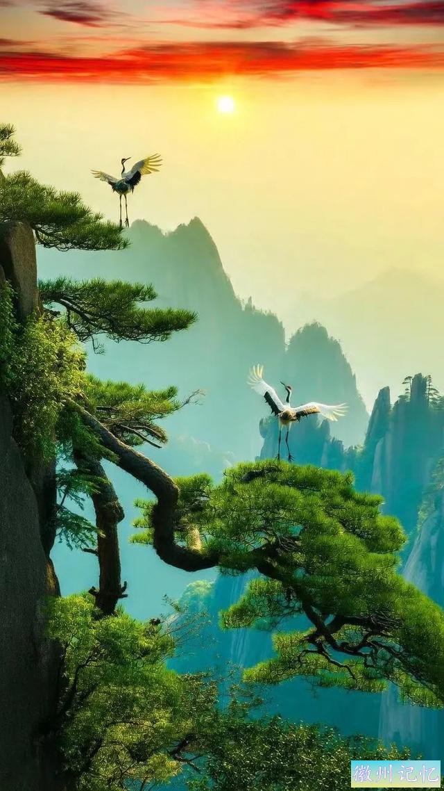 醉美意境，迎客松-13.jpg