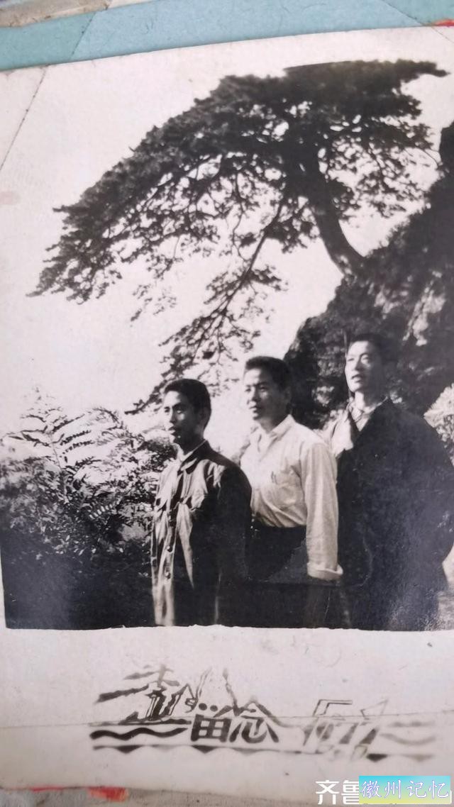 老照片里的新中国|泰山迎客松的一张照片是我工作的开始-1.jpg